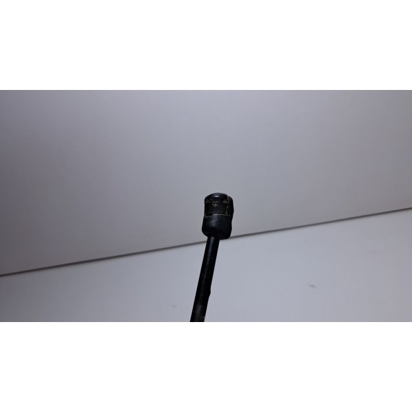 Amortecedor Capuz Capo Ranger 16/23 Original L/d