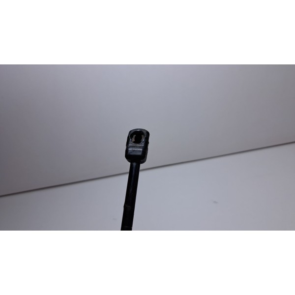 Amortecedor Capuz Capo Ranger 16/23 Original L/d