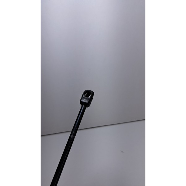 Amortecedor Capuz Capo Ranger 16/23 Original L/e